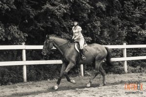 Équitation